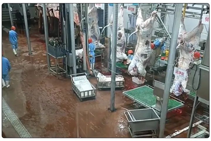 屠宰工廠惡臭影響周邊，使用除臭劑有什么注意要點？