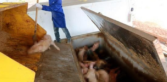 動物無害化處理廠，惡臭異味危害大，<a href='/' style='color: blue;' target='_blank'>工業(yè)除臭劑</a>起作用！.png